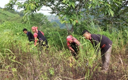 Mường Tè đồng lòng giúp đồng bào La Hủ xoá đói, giảm nghèo