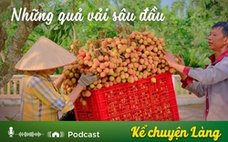 Kể chuyện Podcast: Những quả vải sâu đầu