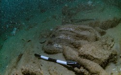 Các nhà nghiên cứu tiết lộ bí mật về tàu chiến hoàng gia bị chìm cách đây 340 năm