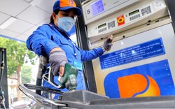 Sửa Luật Giá: Việc định giá xăng dầu, gas, than... chưa hoàn toàn có sự cạnh tranh 