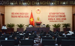HĐND Đà Nẵng bãi nhiệm tư cách đại biểu của Phó chủ tịch 