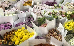 Giới trẻ Hà Thành "say đắm" khi đến chợ hoa lớn nhất miền Bắc