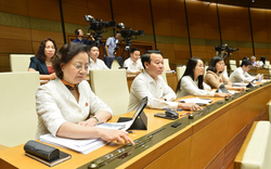 Sẽ trình Quốc hội sửa đổi Luật Giá tại kỳ họp cuối năm
