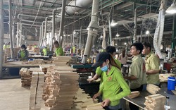 Mỹ, Trung Quốc, Nhật Bản mua lượng khổng lồ, 9 loại nông sản của Việt Nam bất ngờ tăng giá