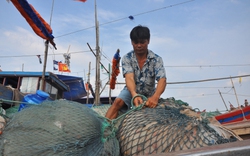 Giá xăng dầu tăng cao, giá cá, ghẹ... giảm sâu do Trung Quốc ngừng mua, ngư dân chán nản muốn bỏ nghề