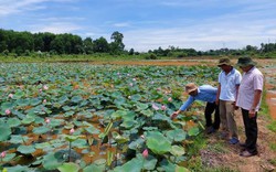 Chủ tịch Hội Nông dân TT-Huế kiểm tra công tác Hội và phong trào nông dân huyện Phong Điền