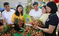 Vải thiều Thanh Hà xuất khẩu đi Nhật Bản, Úc..., người dân Hà Nội tranh nhau mua tại Phiên chợ nông sản