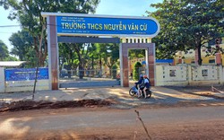 Gia Lai: Buộc thôi việc một phó hiệu trưởng dùng bằng THPT giả 