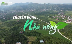 Chuyển động Nhà nông 18/6: Bắc Giang được cấp hai mã vùng trồng vải thiều xuất khẩu sang Thái Lan