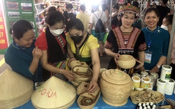 Bố Trạch góp 15 sản phẩm tại Festival trái cây và OCOP Việt Nam 2022