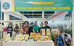 Làn gió mới từ phát triển sản phẩm OCOP vùng miền núi