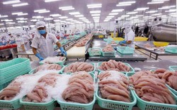 Mỹ, Trung Quốc đột ngột tăng mua, giá một loài cá của Việt Nam cao nhất trong 3 năm 