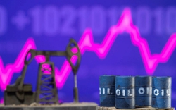 Giá xăng dầu hôm nay 22/6: Dầu thô sụt giảm mạnh