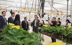 Trang trại thông minh Hàn Quốc tài trợ cho Viện Khoa học Nông nghiệp Việt Nam thông minh như thế nào?