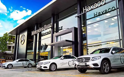 Haxaco (HAX) chốt ngày trả cổ tức năm 2021 bằng cổ phiếu 15%, tiền mặt 5%
