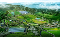 "Thiên đường sữa" Mộc Châu - biểu tượng tương lai của du lịch Tây Bắc và kinh tế xanh