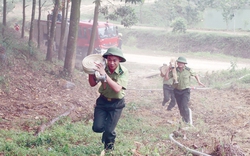 Hơn 170.000ha rừng, Phú Thọ chủ động phòng chống “giặc lửa” ngay đầu mùa khô