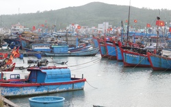 Thứ trưởng Bộ NNPTNT: Kiến nghị Chính phủ có chính sách hỗ trợ 91.716 tàu cá