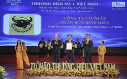 Công ty CP Phân bón Bình Điền - Thương hiệu số 1 Việt Nam 2022