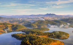 Dự án 5 triệu Euro về cảnh quan bền vững, tạo sinh kế cho người dân sống gần rừng tỉnh Lâm Đồng, Đắk Nông