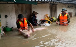 Nguy cơ mưa lớn lại bao trùm Bắc Bộ 