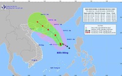 Cập nhật tin mới nhất về cơn bão số 1: Chapa có khả năng mạnh thêm