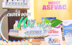 Chuyển động Nhà nông 30/6: Vắc xin dịch tả lợn châu Phi sẽ được sử dụng diện rộng cuối năm 2022