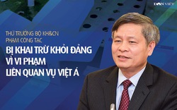 [Infographic] Thứ trưởng Bộ KH&CN Phạm Công Tạc bị khai trừ khỏi Đảng vì vi phạm liên quan vụ Việt Á