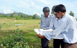 Quảng Ngãi:
Đề nghị đổi tên, nâng diện tích Cụm công nghiệp Tịnh Bình lên gần gấp đôi
