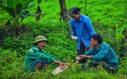 Chàng trai bỏ phố về quê, sống cùng ông bà ở bìa rừng