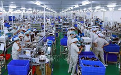 Kinh tế Việt Nam 2022-2023: Kỳ vọng phục hồi mạnh mẽ