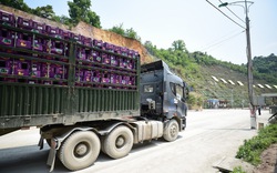 Tại cửa khẩu Lạng Sơn, hoa quả tươi được đưa vào "luồng xanh", chỉ mất vài phút thông quan sang Trung Quốc