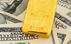Giá vàng hôm nay 6/6: Đồng USD tạm thời suy yếu, vàng bật tăng trở lại phiên đầu tuần