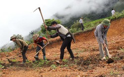 Điện Biên: Kiểm soát chặt chẽ việc chuyển đổi rừng, đất rừng