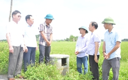 Nông dân Hà Nam trồng lúa thân thiện môi trường, năng suất lúa tăng 10%