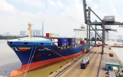 Chính phủ yêu cầu TP.HCM xem xét điều chỉnh việc thu phí cảng biển trong tháng 7/2022