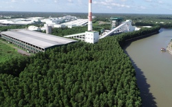 “Xanh hoá" nhà máy để phát triển bền vững