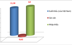 Thương mại 2 chiều Việt Nam - Nhật Bản đạt hơn 20 tỷ USD