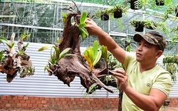 "Lạc" vào vườn lan rừng quý, giá trị tiền tỷ của chàng trai làng Kon Tum