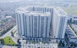 Chuyên gia lý giải nguyên nhân giá chung cư Hà Nội tăng nhanh hơn TP HCM