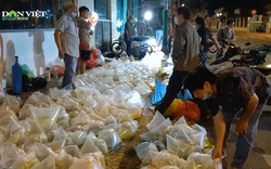 Soi đèn đi chơi chợ cá cảnh “âm phủ” ở Sài Gòn