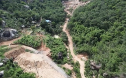 Vụ phá rừng trên núi Thị Vải: Khởi tố, bắt tạm giam 4 cán bộ