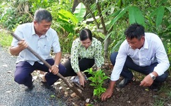 Nông dân huyện Cái Bè tỉnh Tiền Giang cùng nhau trồng cây cảnh, cây xanh trên tuyến đường nông thôn mới
