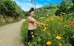 Đường hoa nông thôn mới xanh-sạch-đẹp khiến bản người Thái này ở Sơn La đẹp mê mẩn