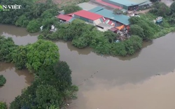 Sông Bắc Hưng Hải đang “oằn mình” gánh chịu ô nhiễm từ nước thải
