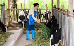 FrieslandCampina Việt Nam chăm lo đời sống tinh thần cho phụ nữ vùng cao với nhiều hoạt động ý nghĩa 