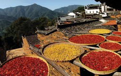 Ngôi làng cổ Trung Quốc lấy thực phẩm phơi khô làm điểm nhấn du lịch