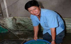 Tỷ phú nông dân nuôi cá chình đặc sản ở đất Kiên Giang