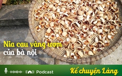 Kể chuyện Podcast: Nia cau vàng ươm của bà nội