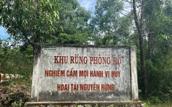 Vợ chiếm đất rừng làm nơi nghỉ hưu, chồng là Chánh án có nguy cơ bị xử lý khi còn đương chức